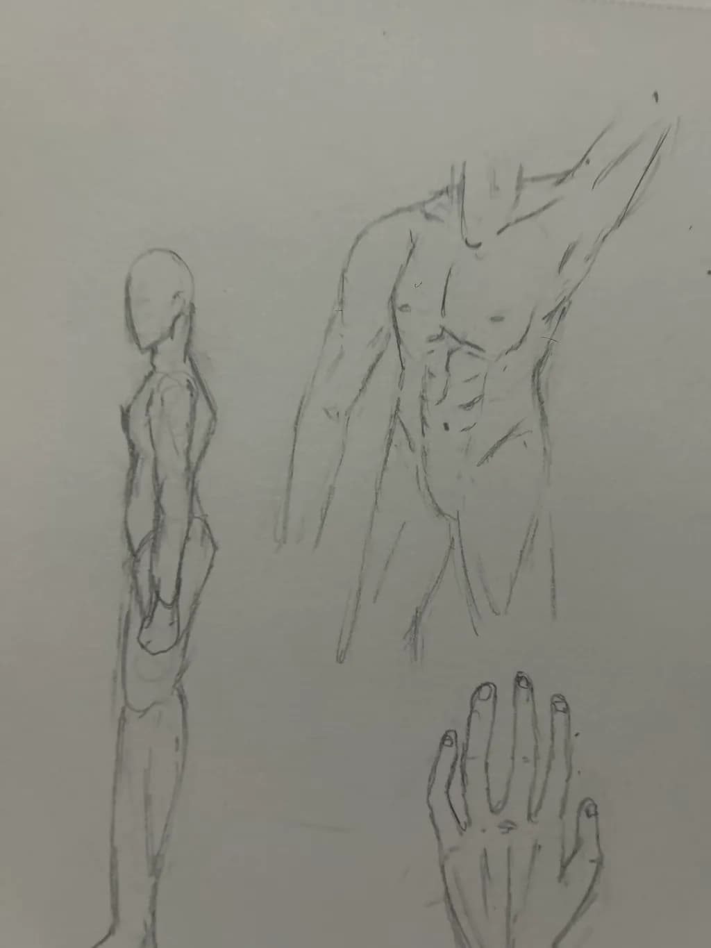 Human Form Study