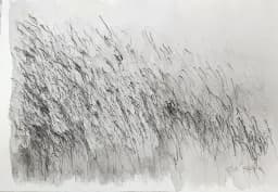 Gestural Abstract Grasses