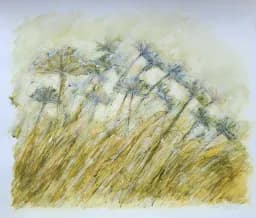 Autumn Light - Hokkaido