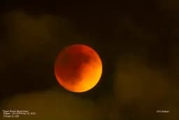 Super Flower Blood Moon