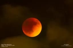 Super Flower Blood Moon