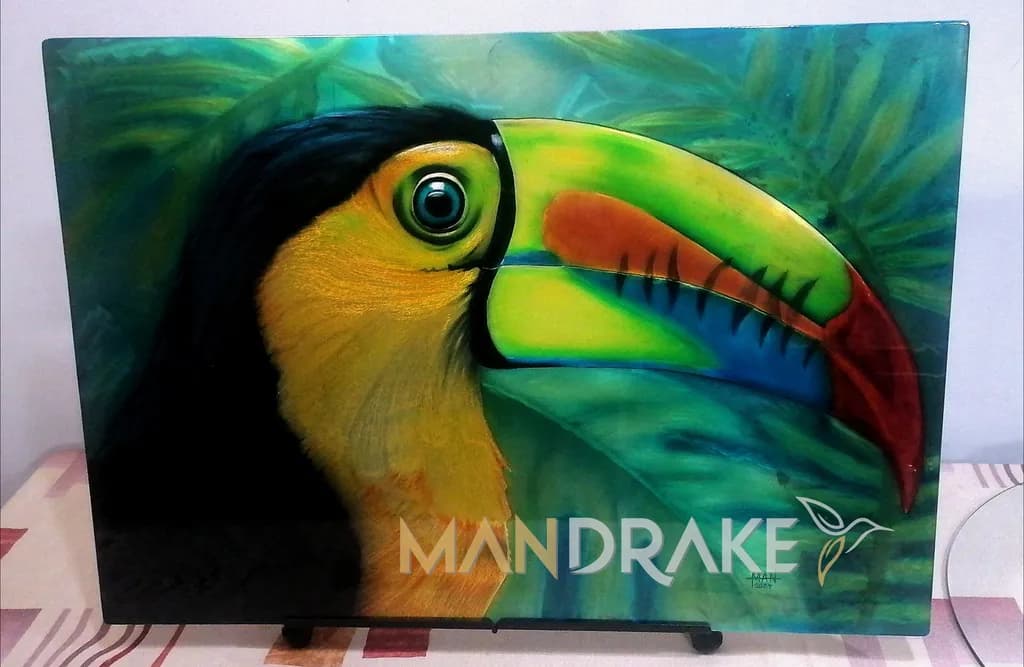 Tropical Toucan