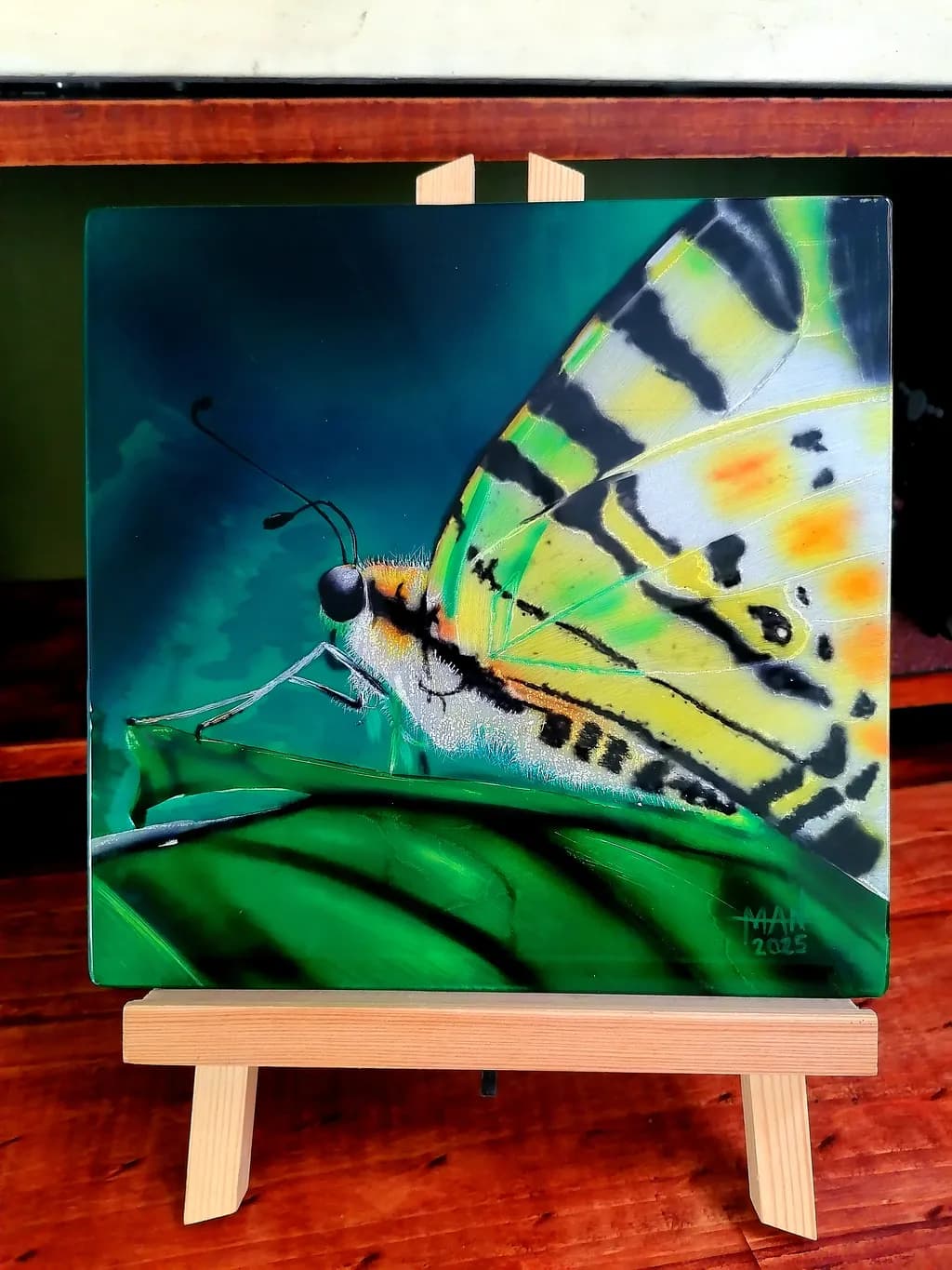 Butterfly Elegance