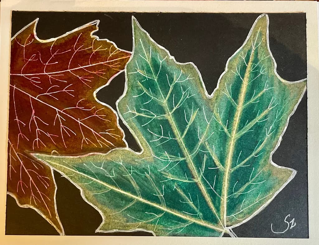 Autumn Contrast