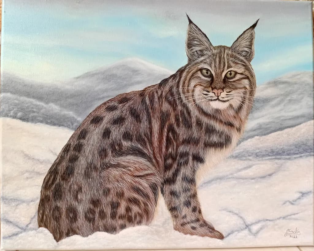 Lynx in Winter