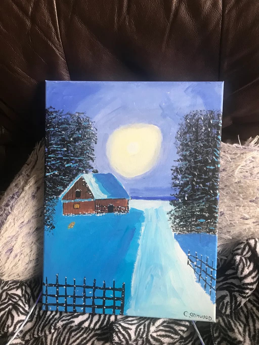 Snowy Cabin Path