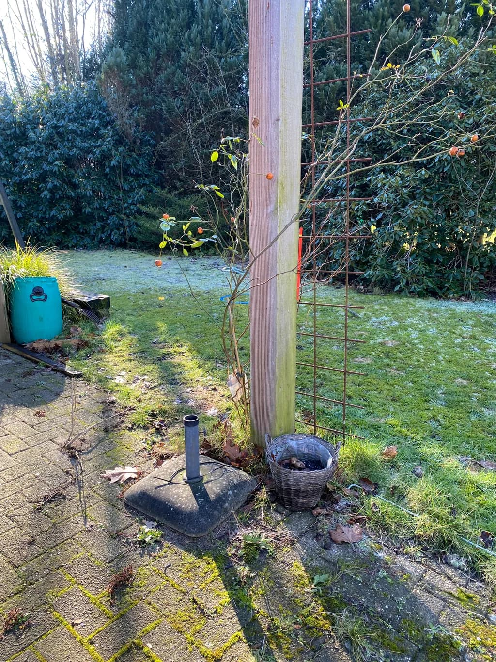 Garden Retreat
