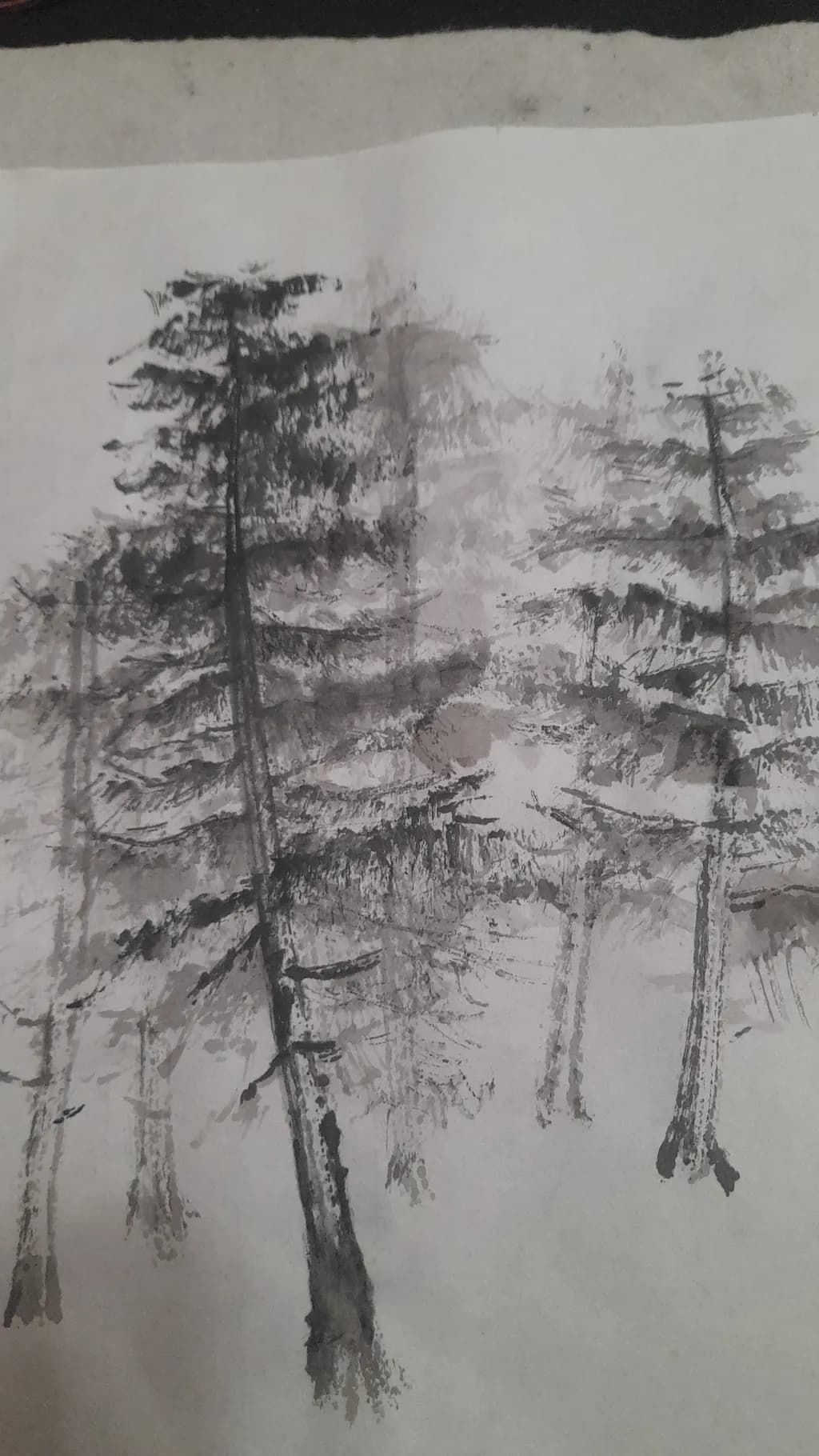 Monochrome Forest
