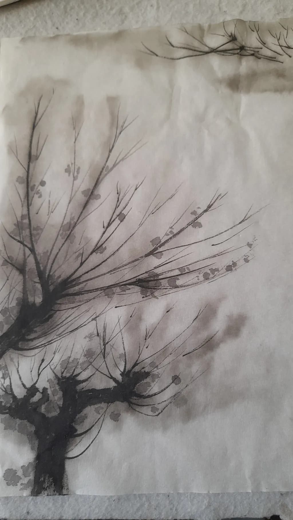 Barren Elegance