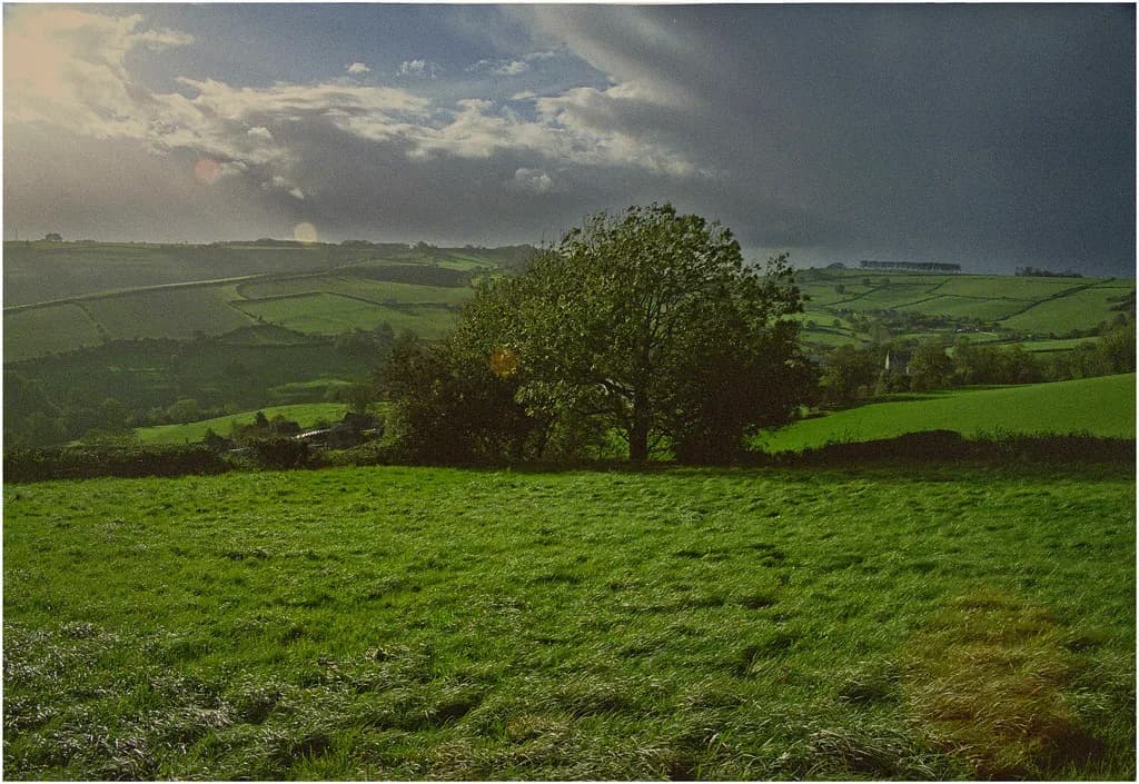 Rolling Green Hills