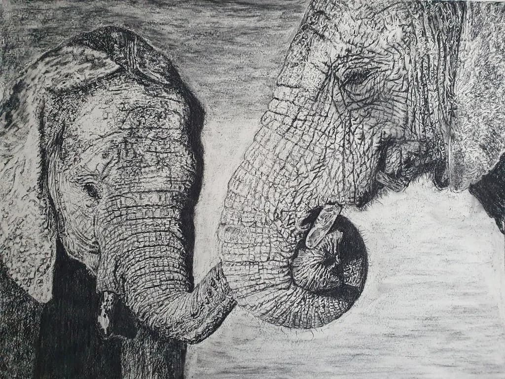 Elephant Embrace