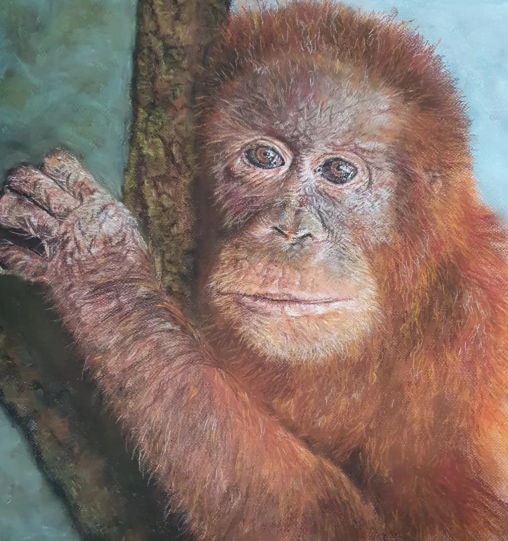 Orangutan Portrait