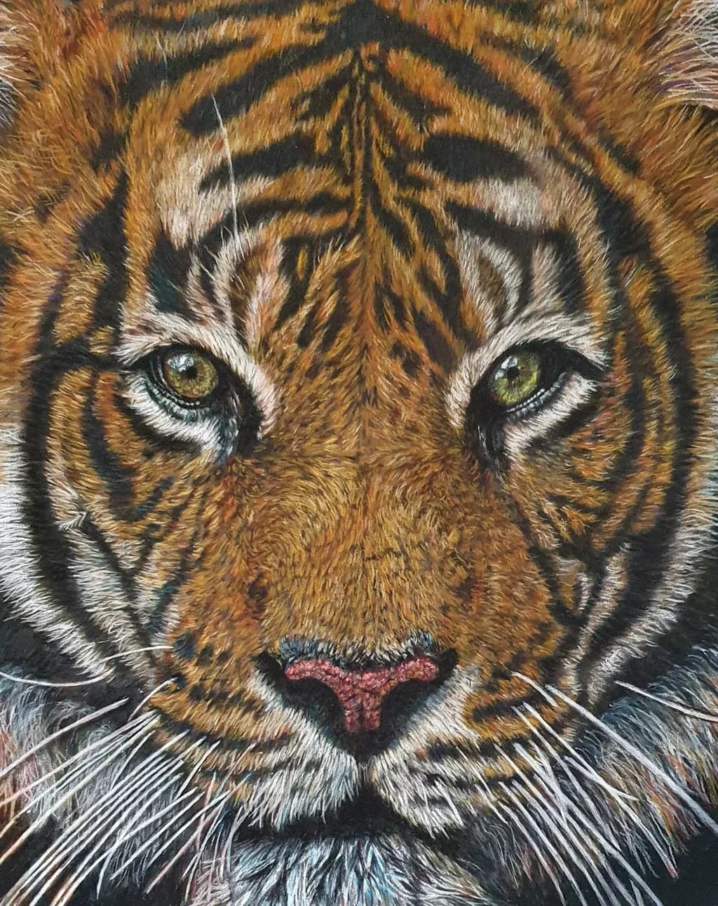 Tiger Head