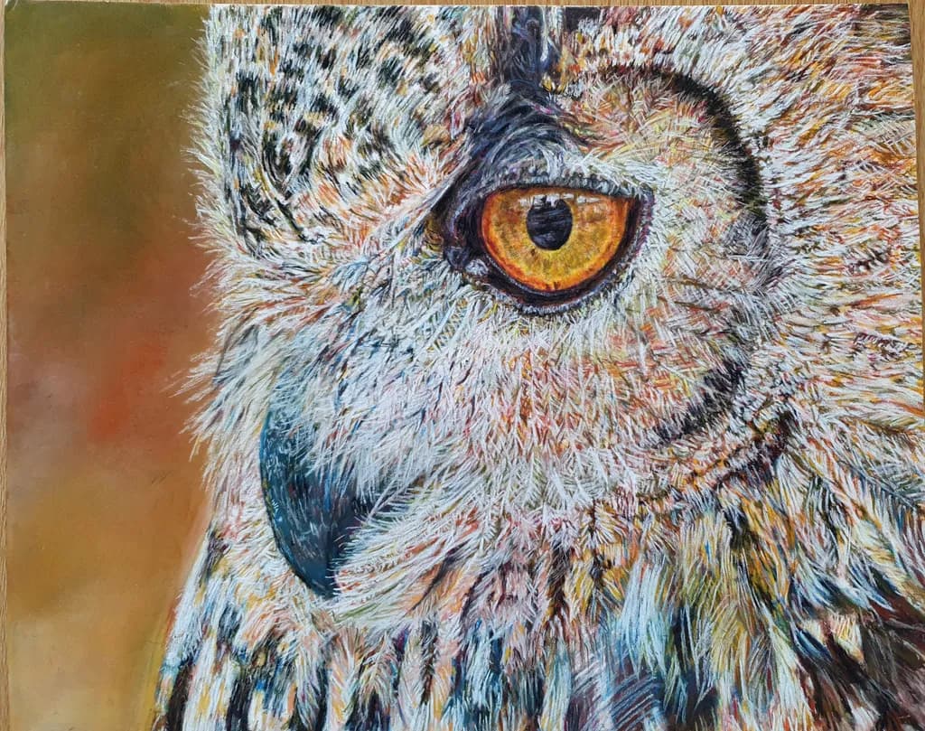 Owl Original