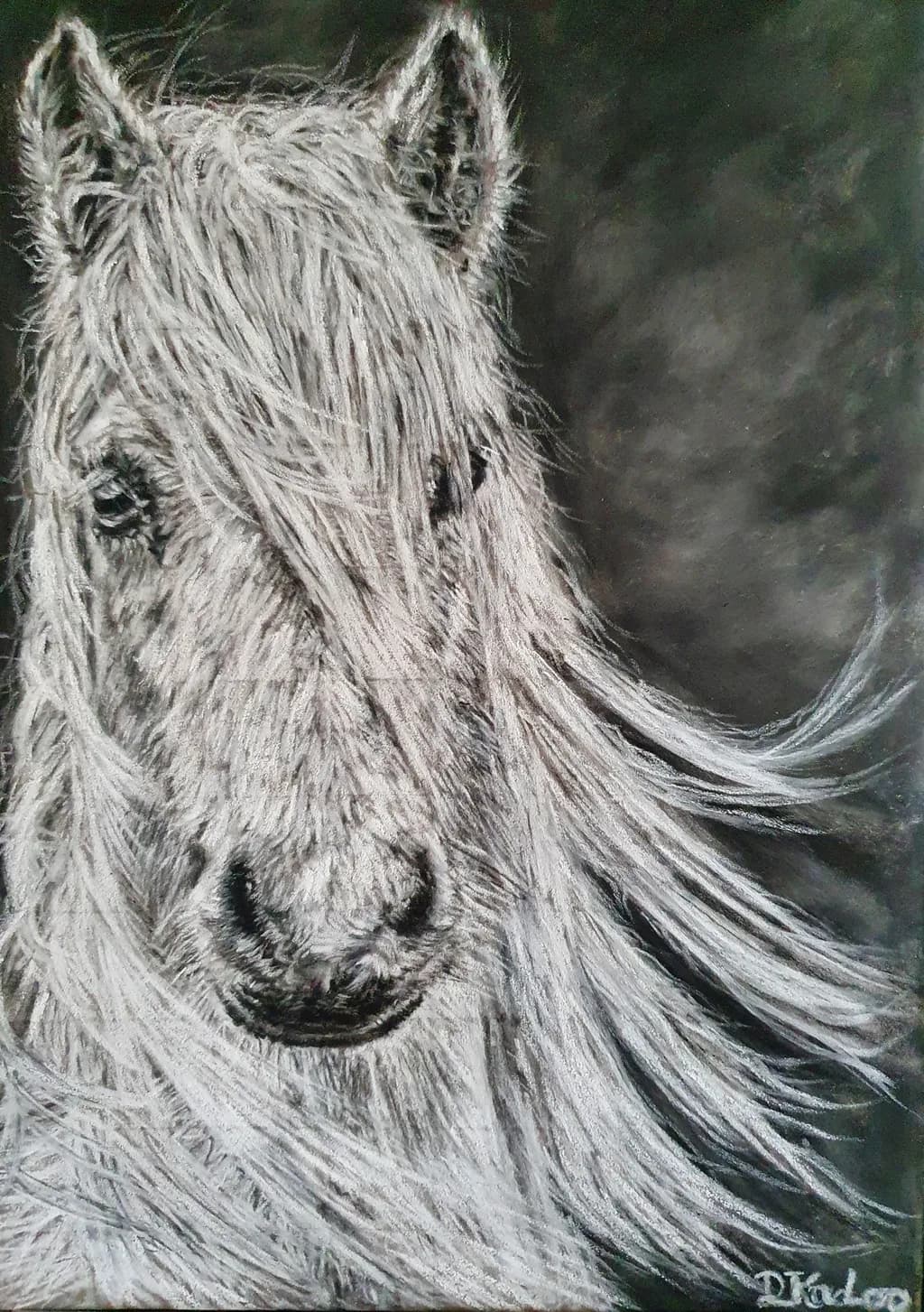 Majestic Mane
