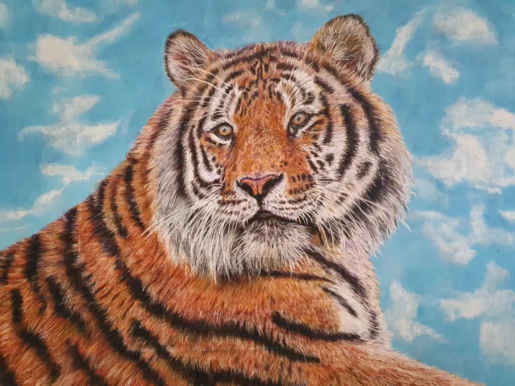 Tiger Blue Skies