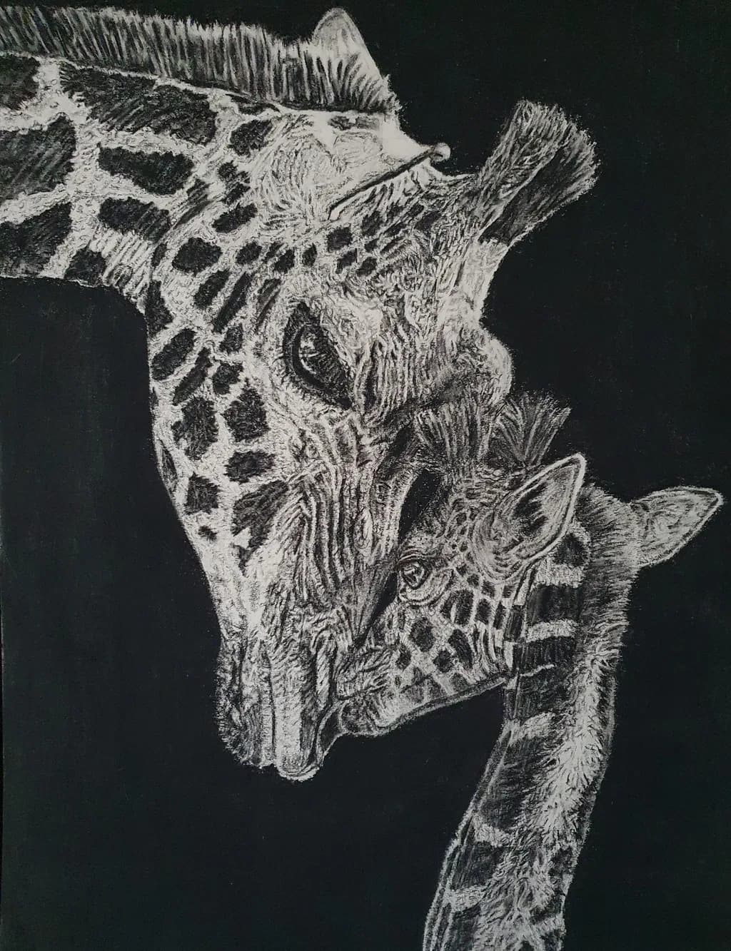 Giraffe Connection