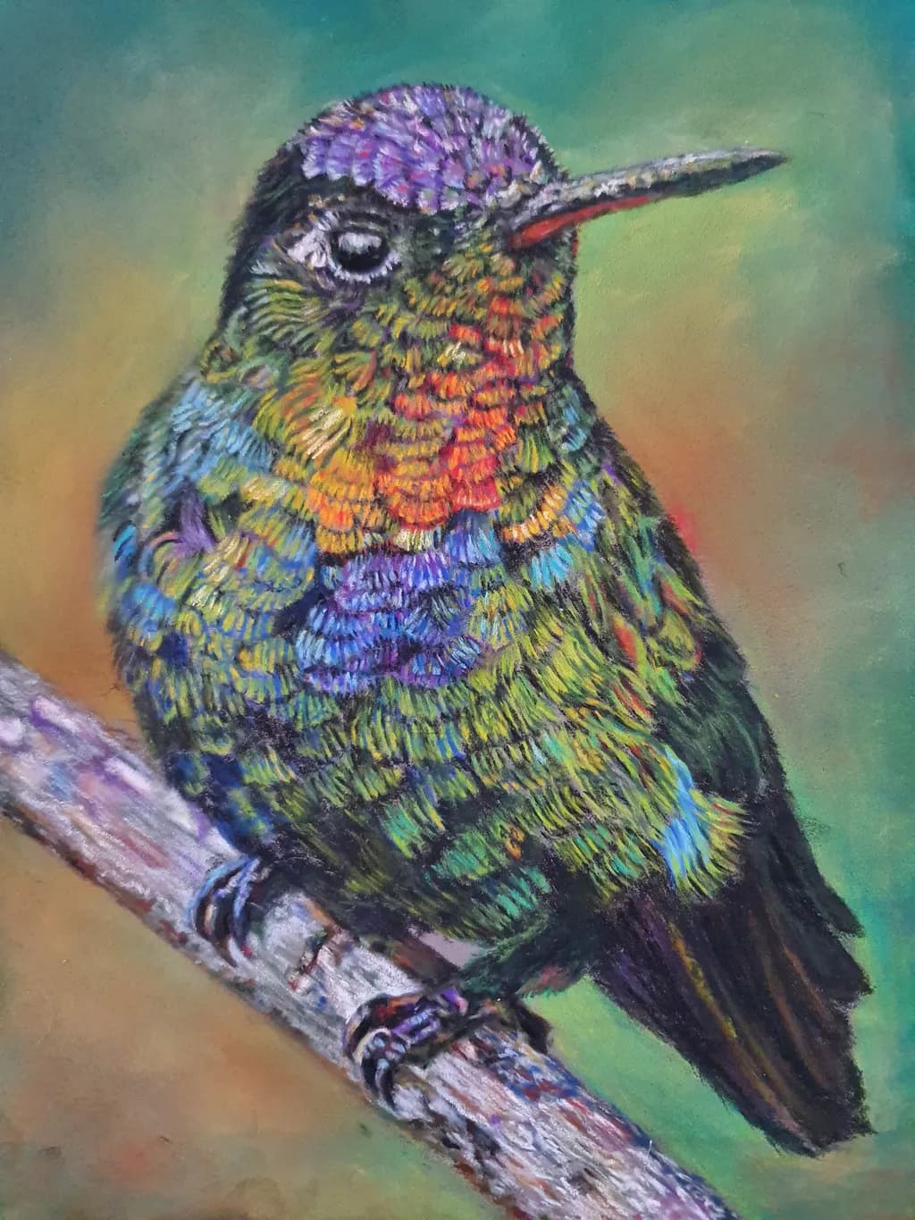 Hummingbird Majesty
