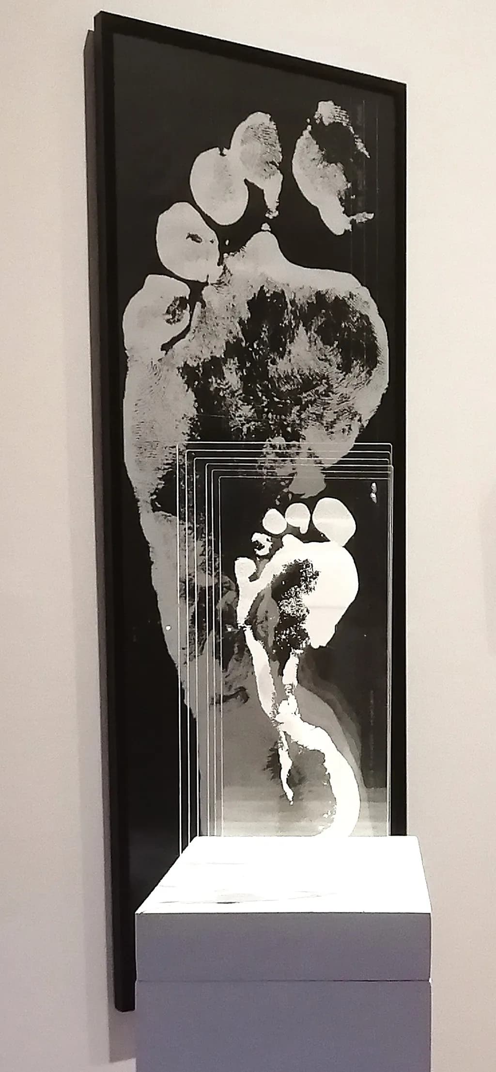 Footprint Origins