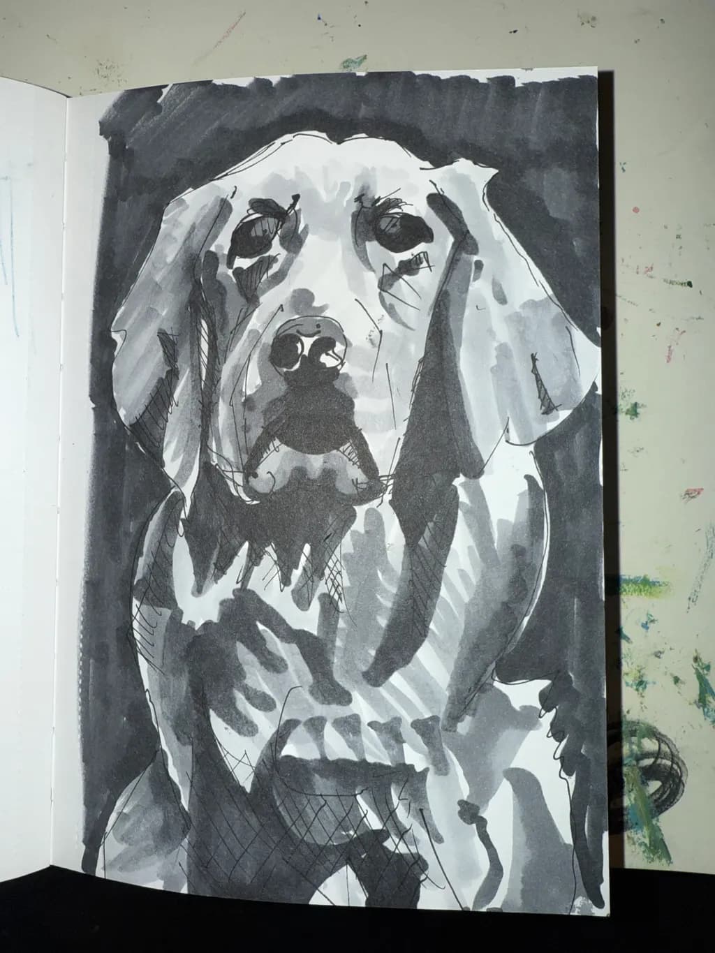 Monochrome Canine Portrait