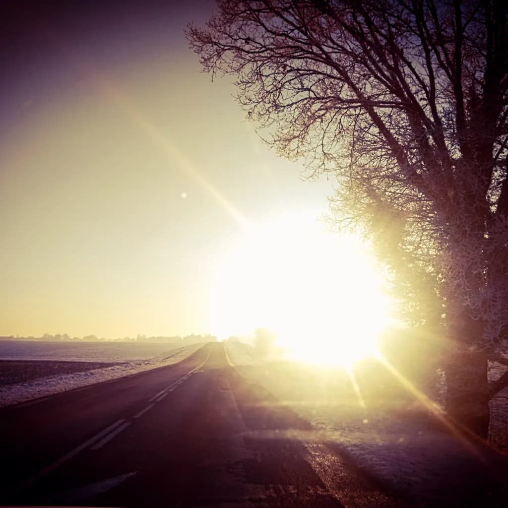 Winter Sunrise Road