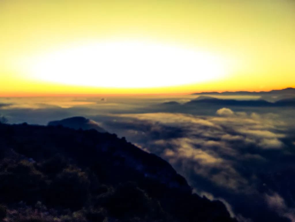 Golden Horizon