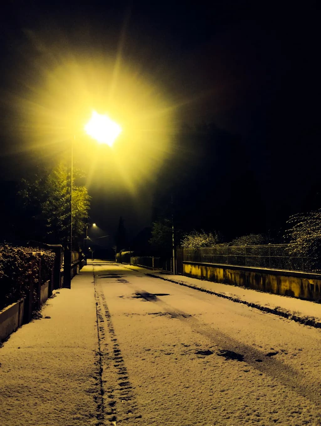 Silent Snowfall