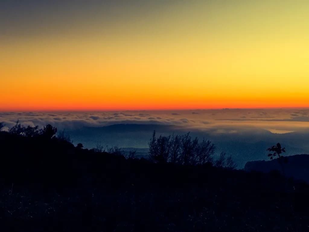 Sunset Serenity