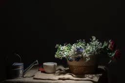 Garden Still Life