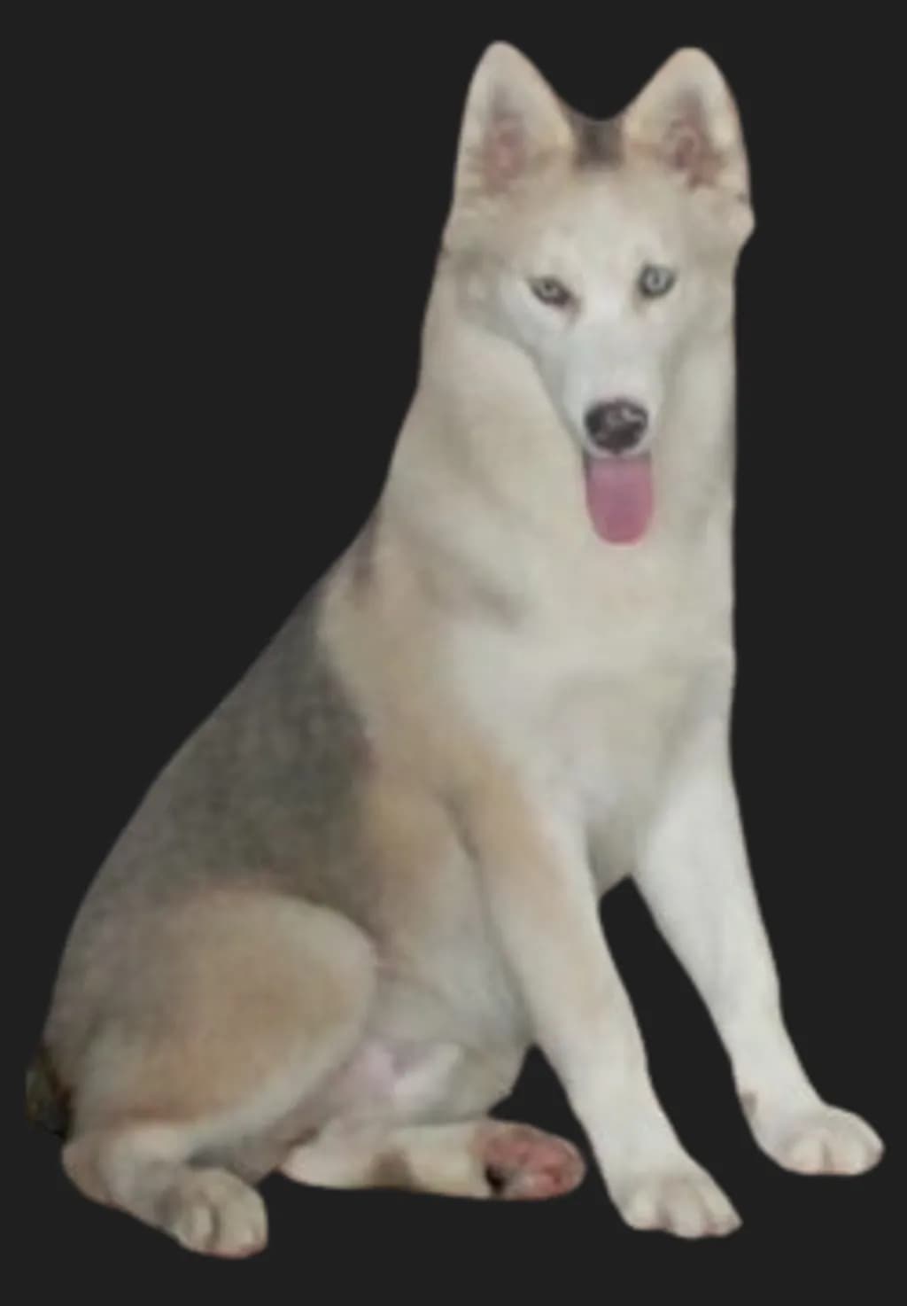 Bengy