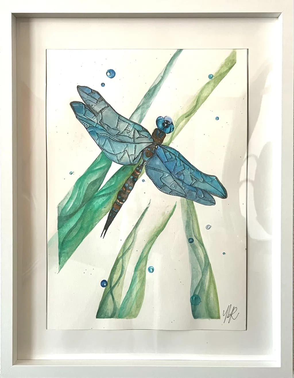 Dragonfly Serenity