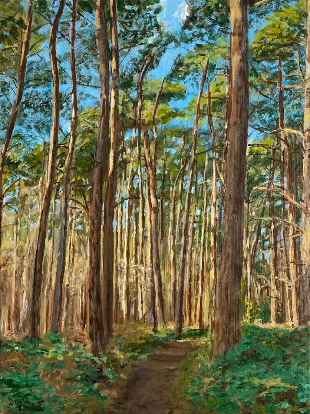 Forest Pathway