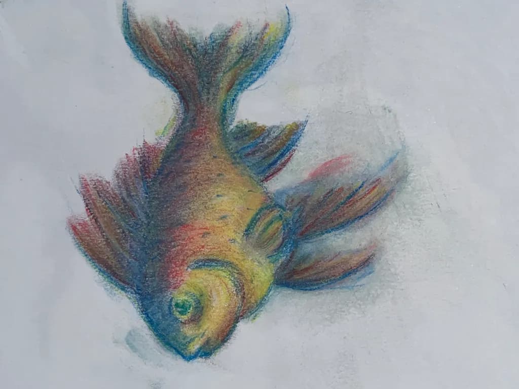 Colorful Fish