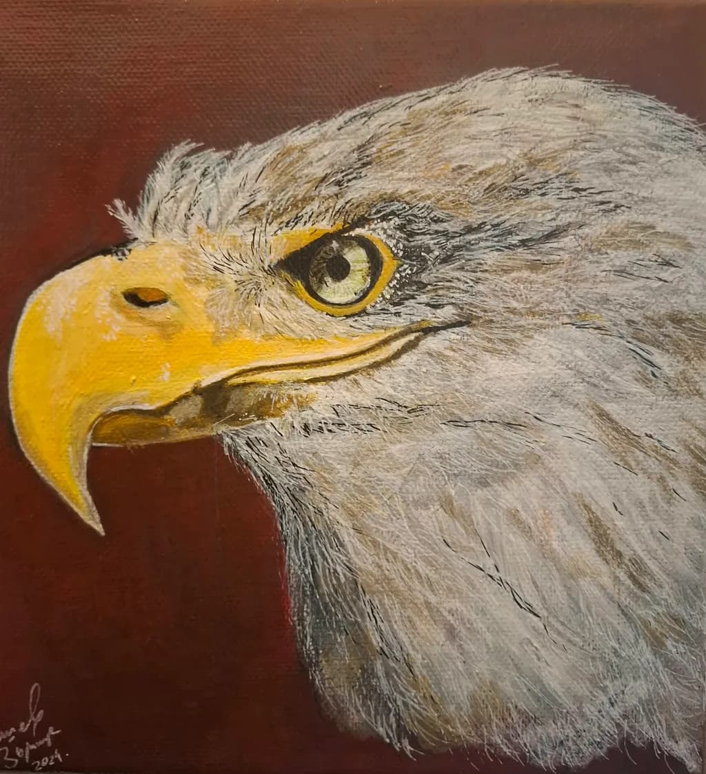 Eagle Gaze