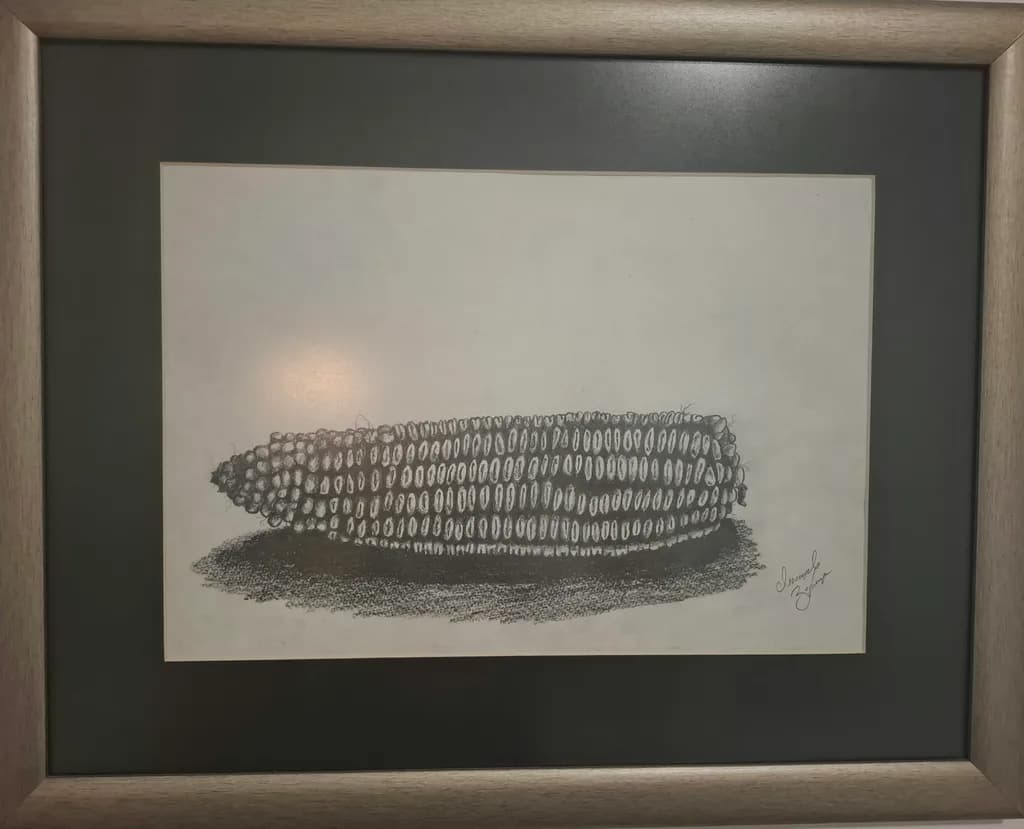 Corn on Shadow