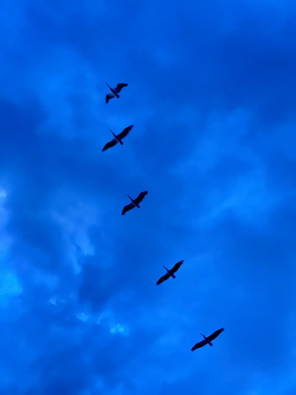 Skyward Journeys