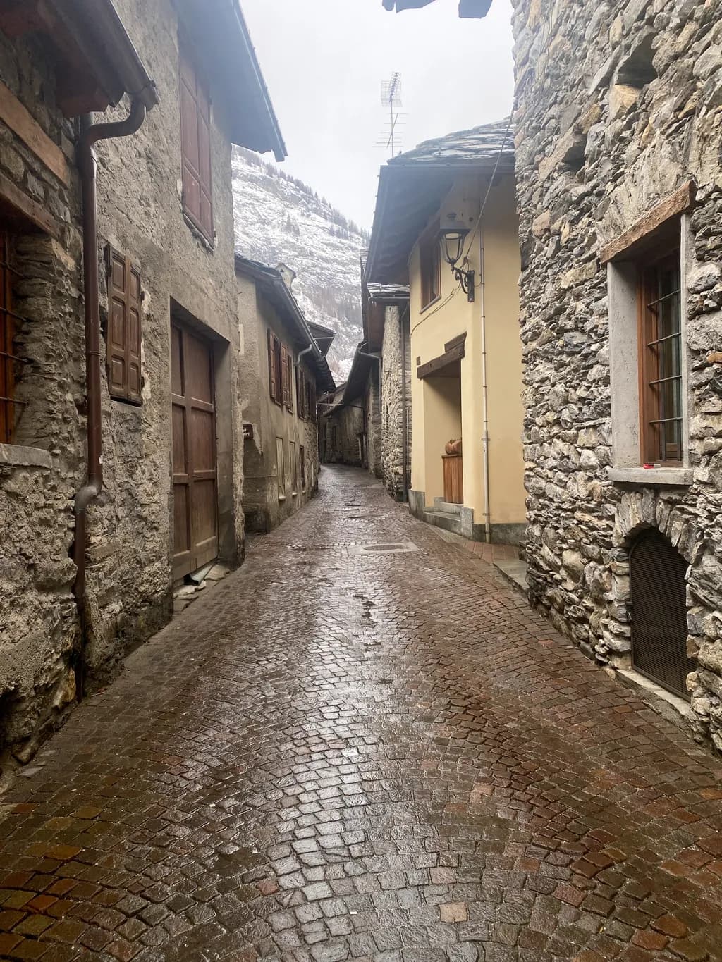 Cobblestone Alleyway