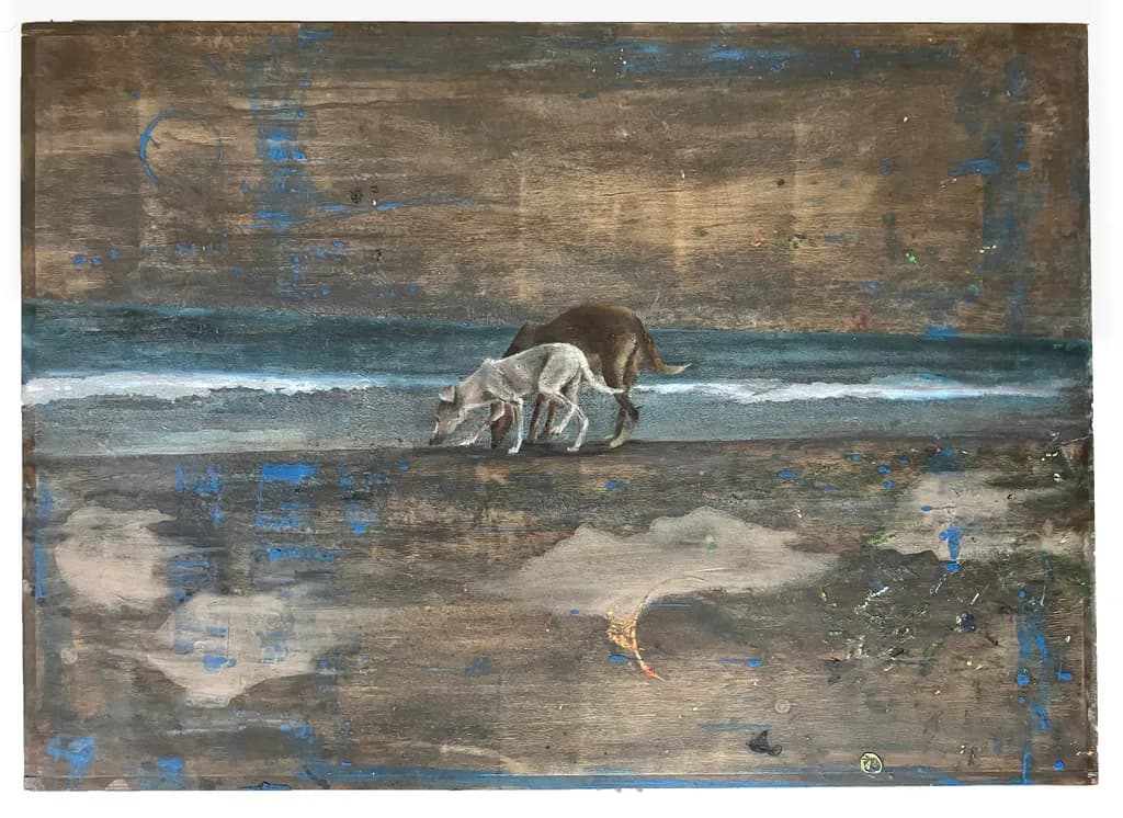 Beach Companions