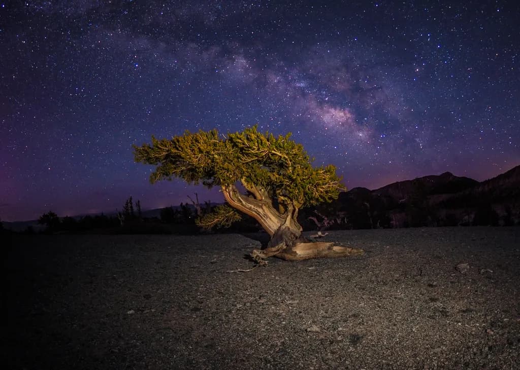 Auroral Milky Way