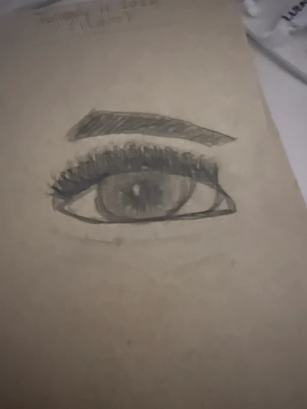 Gaze of Detail