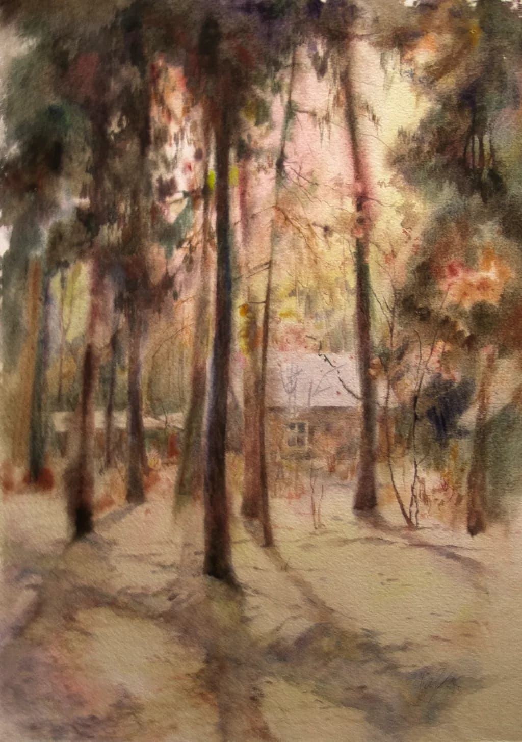 Woodland Retreat