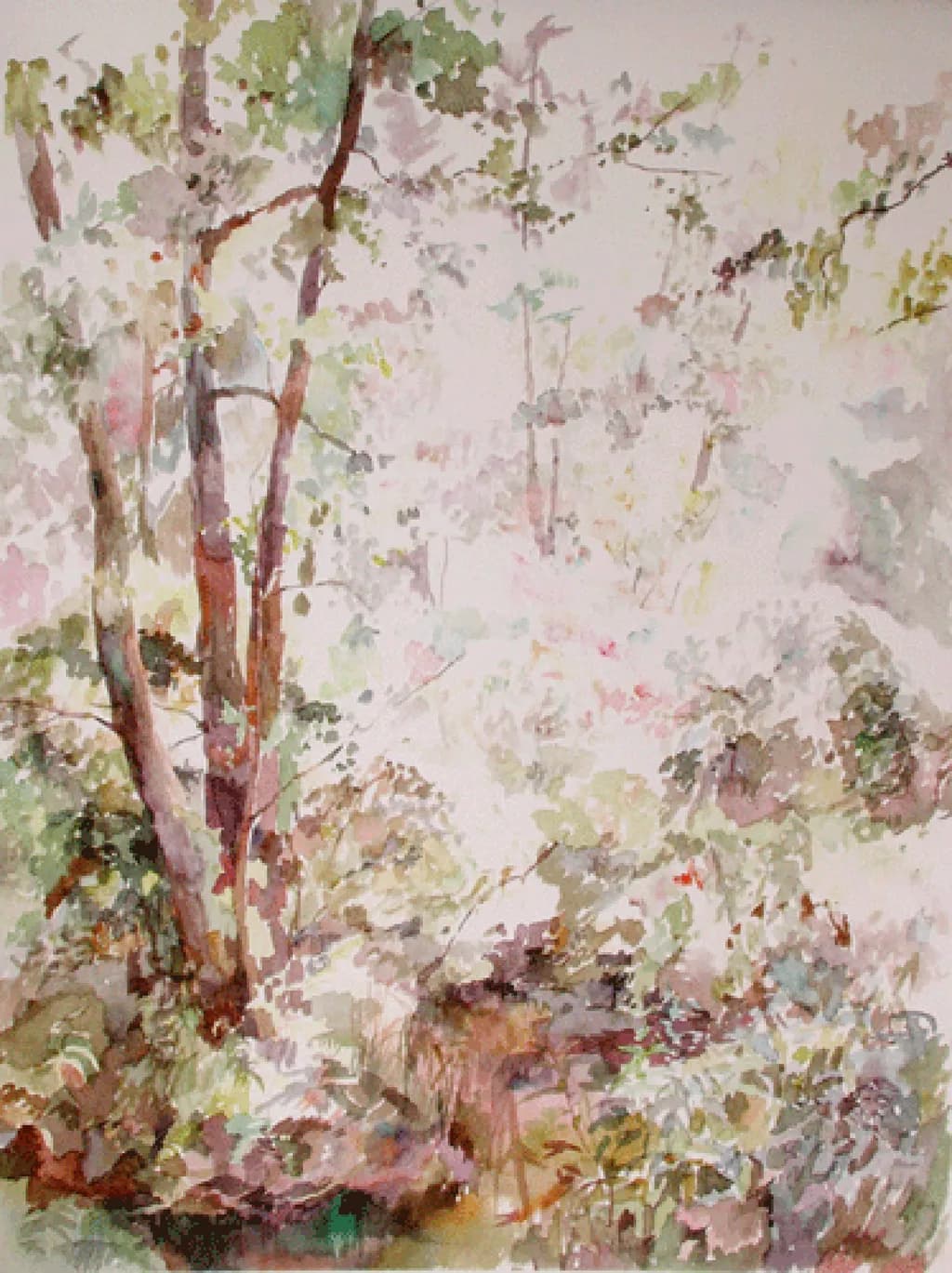 Sunny Forest