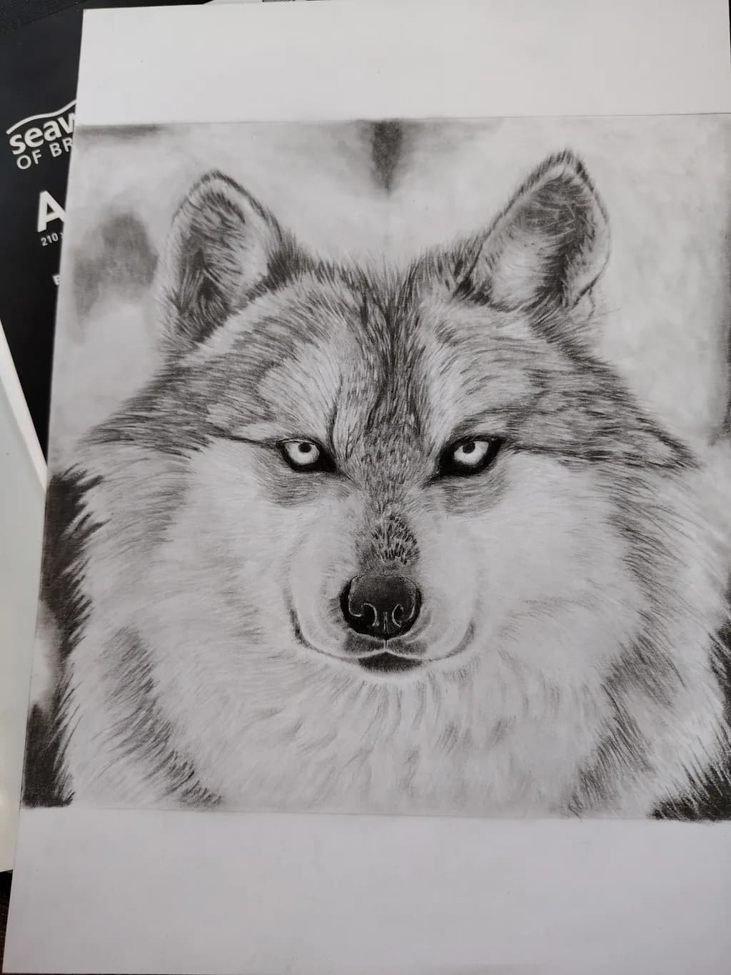 Wolf Gaze Portrait