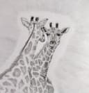 Original