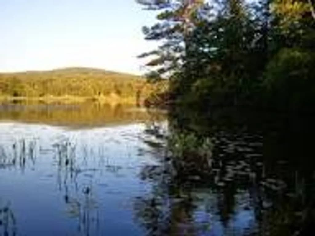 Tranquil Reflections