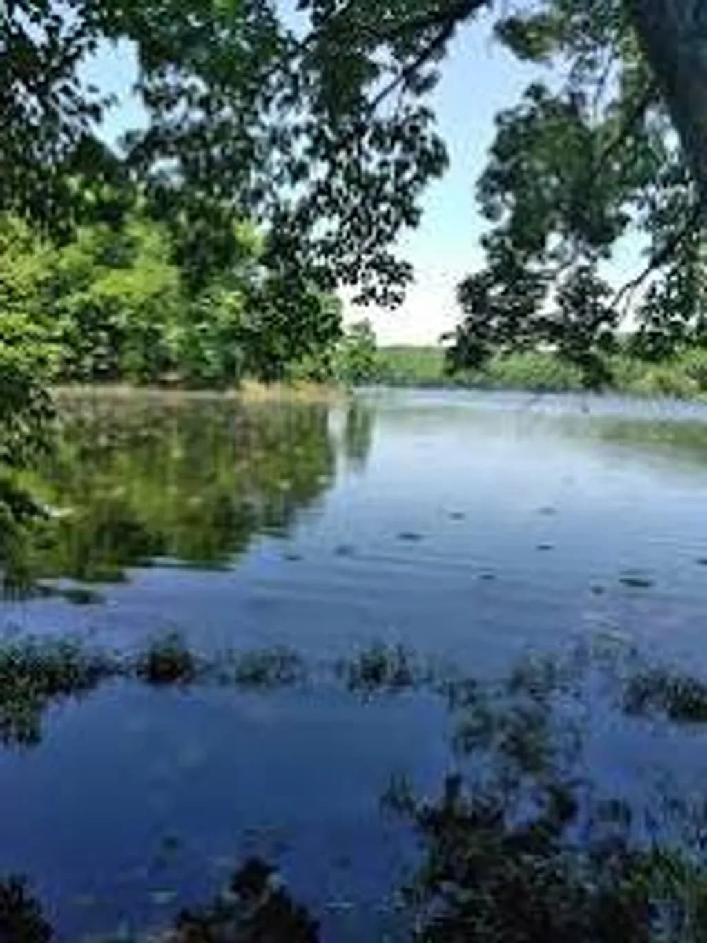Tranquil Waterscape