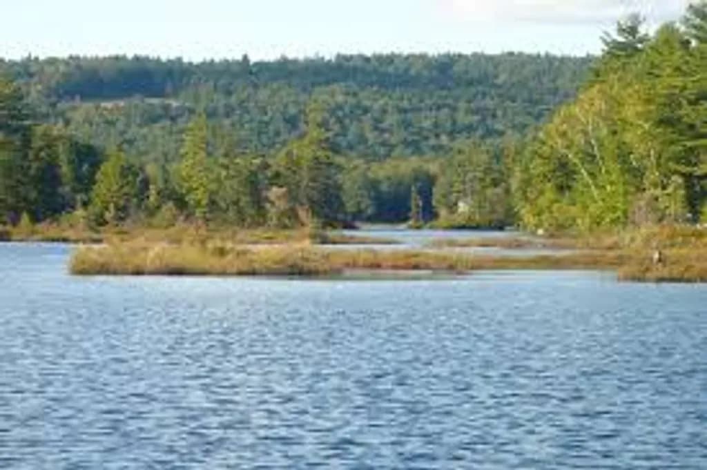 Tranquil Waterscape