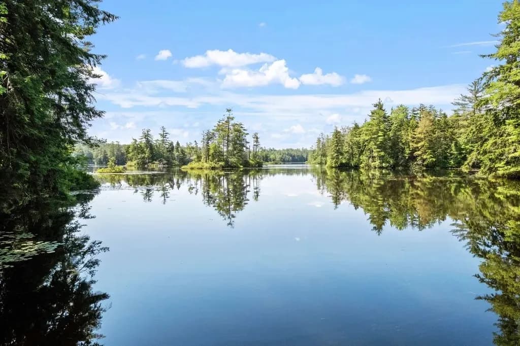Tranquil Reflections