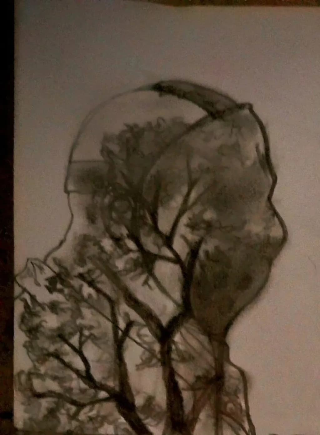 Nature's Reflection