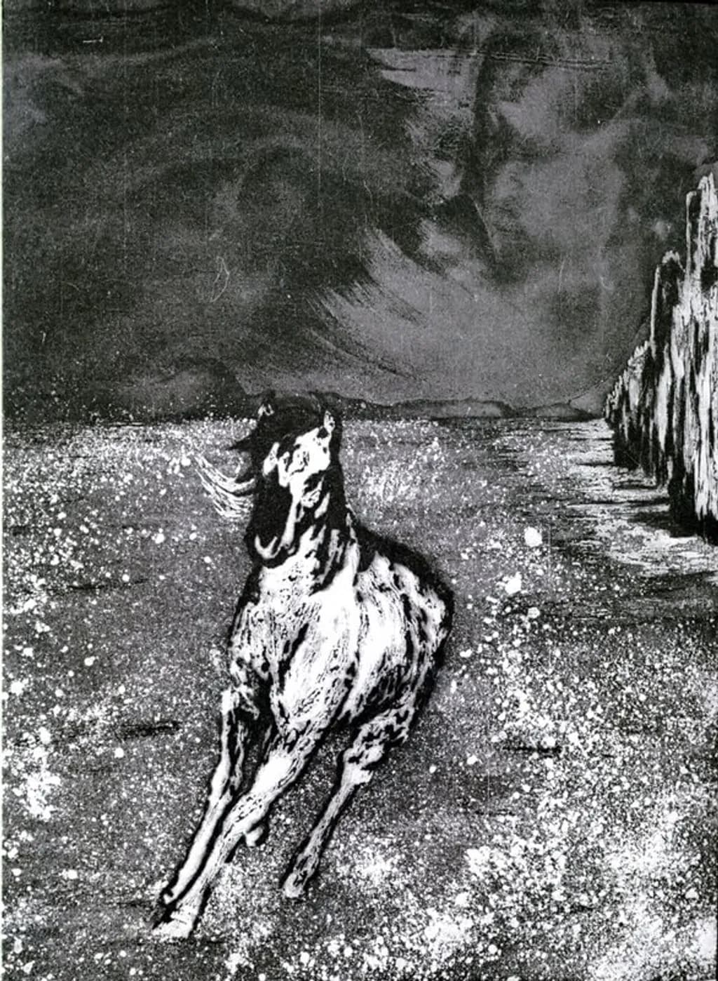 Galloping Shadows